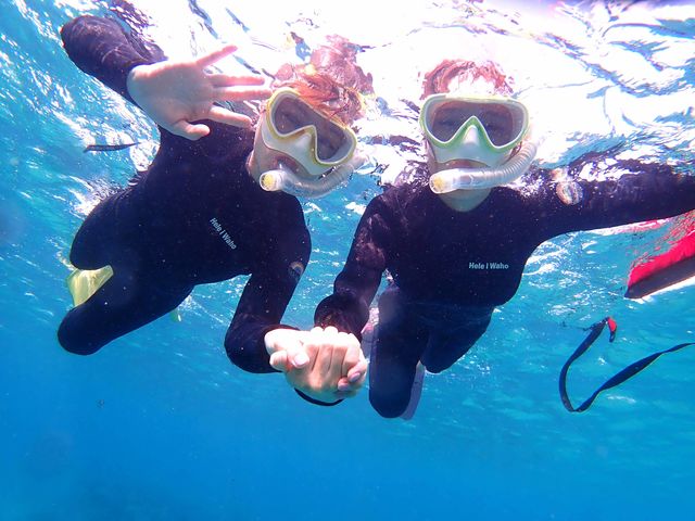 ���ǂ��V���m�[�P�����O_�Ί_���_�C�r���O�V���b�v�@ABCdive