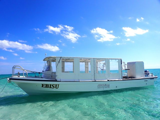 ABCdive�̗v�IEBISU���Q��I_�Ί_���_�C�r���O�V���b�v�@ABCdive