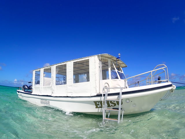 �傫�ȑD�Ȃ̂ŗh������Ȃ��ł�_�Ί_���_�C�r���O�V���b�v�@ABCdive