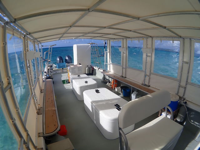 �L�X�D���ł����났��������_�Ί_���_�C�r���O�V���b�v�@ABCdive