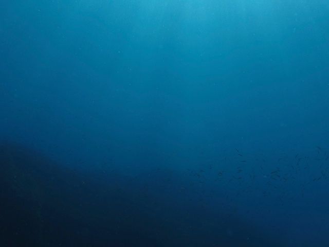 �R�A�C�݃W�I�p�[�N�_�C�r���O�X�N�[��