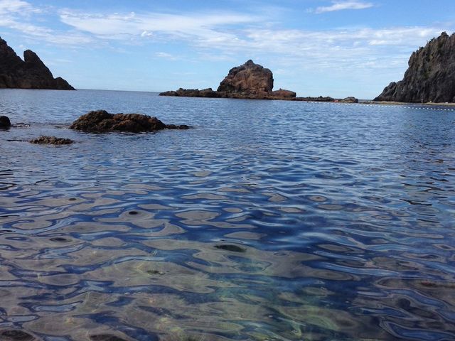 �R�A�C�݃W�I�p�[�N�_�C�r���O�X�N�[��