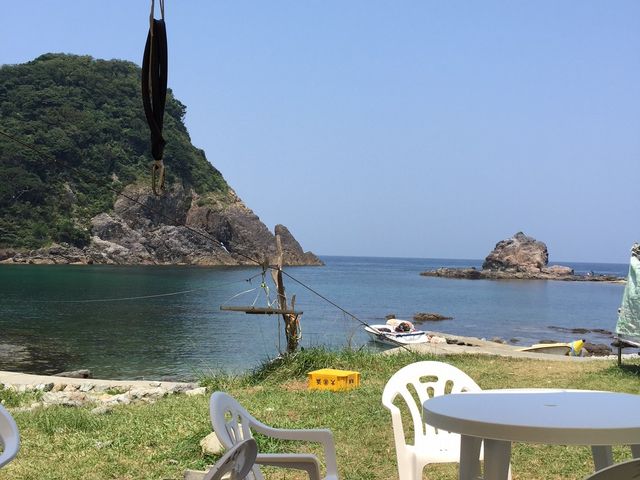 �R�A�C�݃W�I�p�[�N�_�C�r���O�X�N�[��