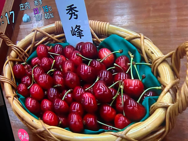 lC̍gGAp̗\͂߂ɁI_n糊όN@sweet cherry watanabe