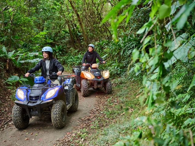 ���R���ӂ��R�[�X��������葖�s�B�i�F���y���݂Ȃ�����S���ĎQ���ł��܂��B_���C���`�E�A�N�e�B�r�e�B