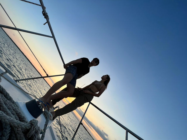 �T���Z�b�g&�i�C�g�N���[�Y_�C�l�Ί_���i�}��������j