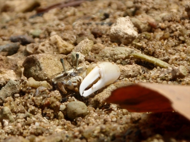 �Q�T�����炢�C��������ƃV�I�}�l�L���o�Ă���_marine house ��܂񂮂��`