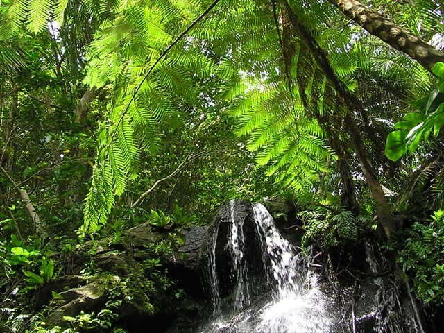 �}�C�i�X�C�������Ղ�̈��M�щJ�тցI_marine house ��܂񂮂��`