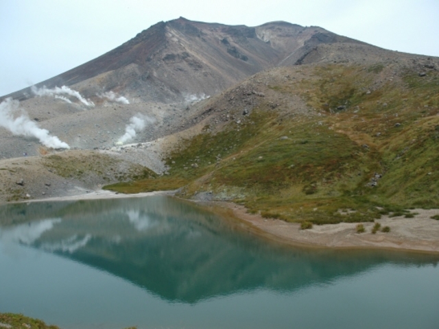 ���썇�������Ԋ������