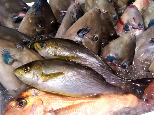 �O�������Œސl���ނ��Ă��鋛�B���X�ł́A������𒲗����ĐH�ׂ邱�Ƃ��ł��܂��I_�݂��ɉB�����i�������ȏW�Ϗ����ƂƁj