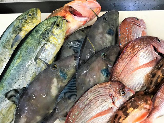 �l�X�ȋ����ނ��L���ȊC�����O���B�ސl�̐��n�ƌ����Ă��܂��B_�݂��ɉB�����i�������ȏW�Ϗ����ƂƁj