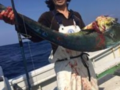 たましろマリンサービスの写真1