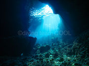 �_�C�r���O�`�[���@�N�[���̎ʐ^2