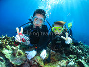 �_�C�r���O�`�[���@�N�[���̎ʐ^3