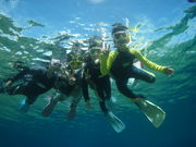 SEA-TRIP D.S@VX̎ʐ^2