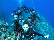 SEA-TRIP D.S@VX̎ʐ^3