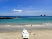 JAH-LA-SORA TANEGASHIMA̎ʐ^2