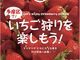 strawberry farm BUNKAEN̎ʐ^2