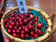 n糊όN@sweet cherry watanabe̎ʐ^2