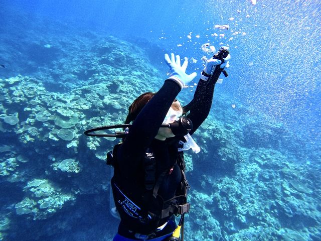 PADI��C�J�[�h�擾�u�K�́A1���l����1�g�ݐ؊J�ÂŁA�X�L������������g�ɂ��܂��I_DS natura