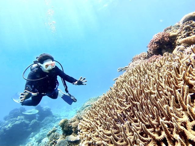 �s�������|�C���g�A�����������A���N�G�X�g�劽�}�I�I_DS natura