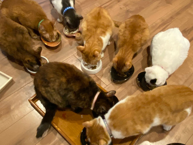 ���났�Ö��Ɓ@�܂ߔL