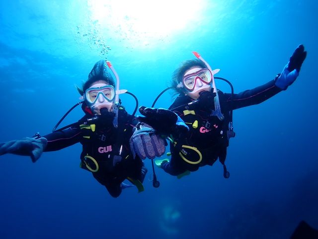 ���q���ɂ��œK�I_DIVING SHOP RYAAAN