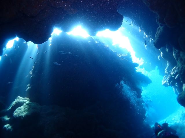 �n�`�_�C�r���O���ō��I_DIVING SHOP RYAAAN