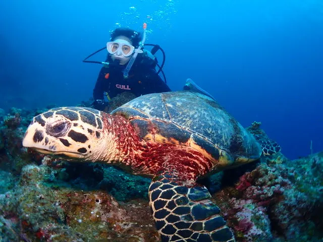 DIVING SHOP RYAAAN（ライアン）の割引プラン