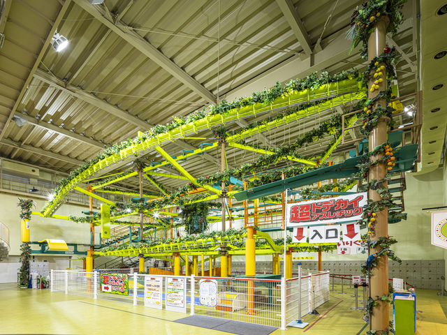 uhfJCAX`bNv1ḰALbY`GAA2E3ḰAl{CŊy߂܂B_^E