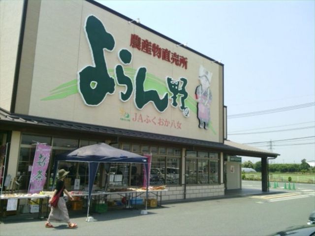 �_�Y�������������