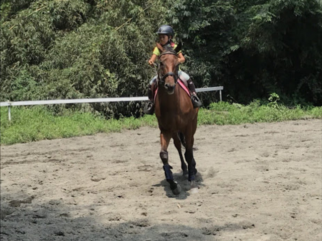 OISO�@��n�@�N���u