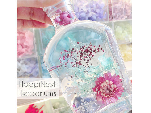 HappiNest�~�n�[�o���E���i�Ó슝����j