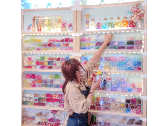 HappiNest�~�n�[�o���E���i�Ó슝����j
