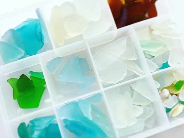 ���˓��C�̓V�R�f�ށI_�C�̌�����A�g���G ���{�[��