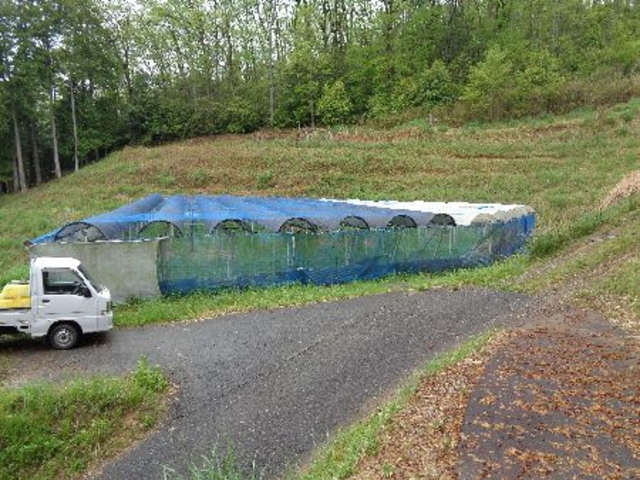 �r�I���̔��ł�_���낹�_��