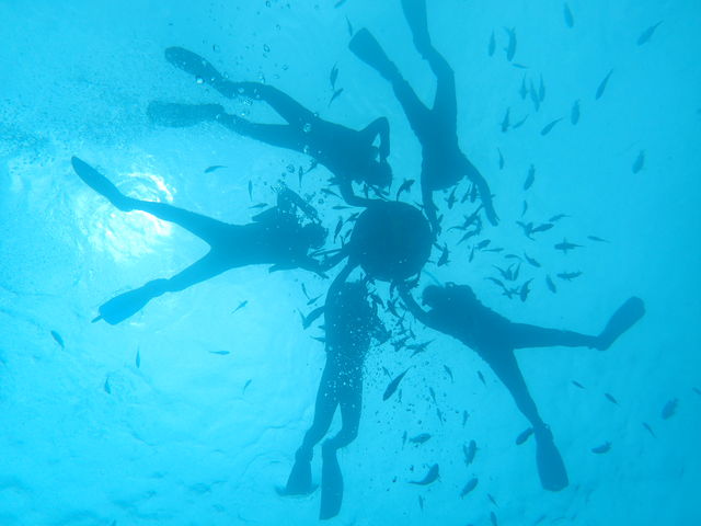 �V���m�[�P���p�𐅒�����B�e���܂���_�t���[�X�^�C������_�C�r���O