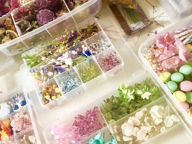 �t���[�����T�����E�v���W�[��