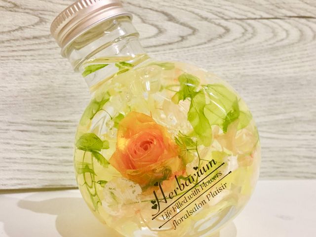 �t���[�����T�����E�v���W�[��