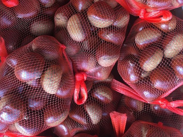 ����ʎ���