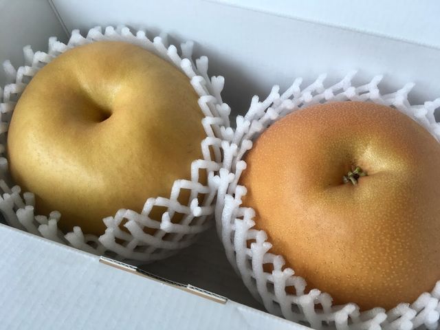 ����ʎ���