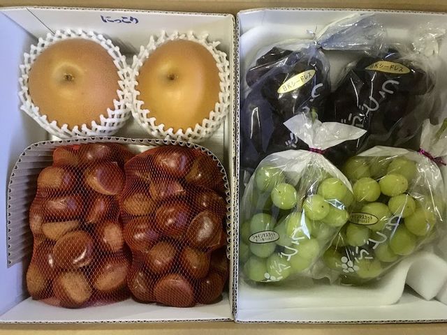 ����ʎ���