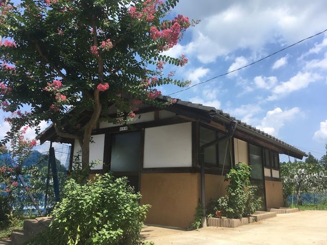 ����ʎ���