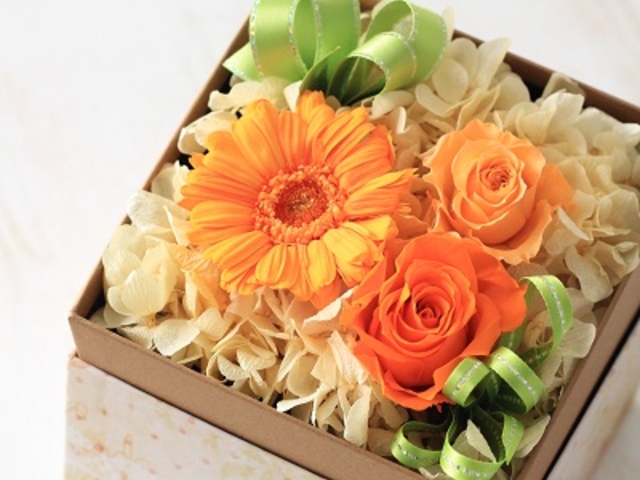 �{�b�N�X�t�����[�A�����W�̌����b�X��_�Ԃ̃A�g���G��MintGreen��