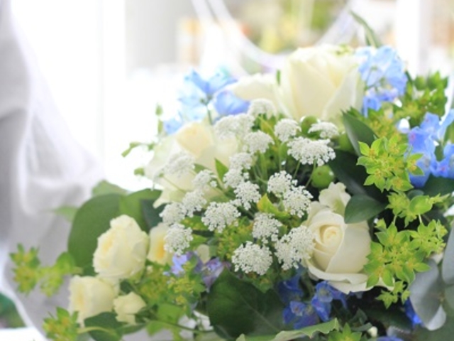 �t���b�V���t�����[�ԑ����b�X��_�Ԃ̃A�g���G��MintGreen��