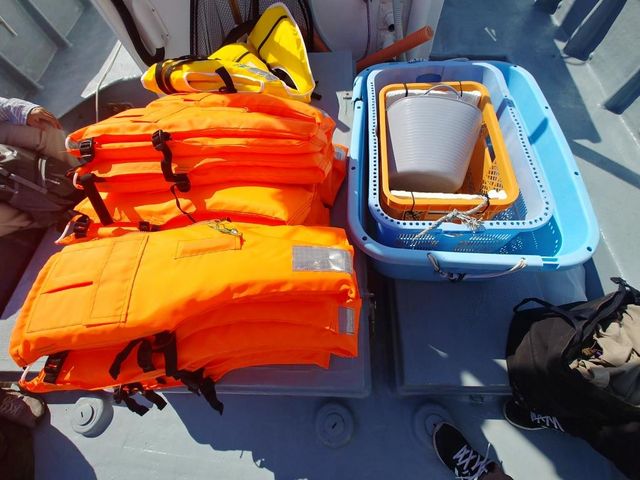 �C�����S����̃��C�t�W���P�b�g_�C��