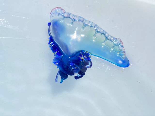 �J�c�I�m�G�{�V_�C��