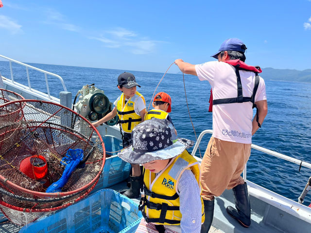 �[�C���Ƒ̌��̗l�q_�C��