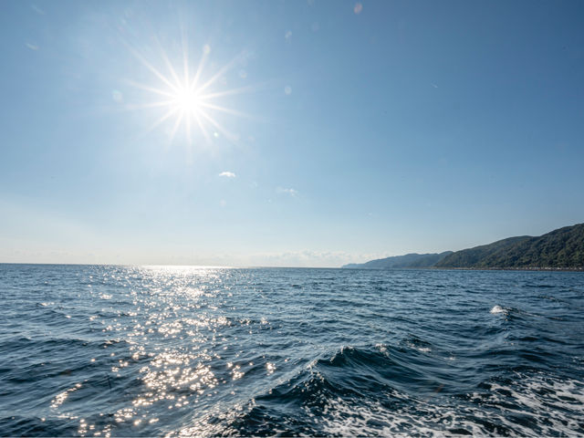 �[�C�������Ƒ̌��I�I����͗�����߂����˂Ȃ�ł�_�C��