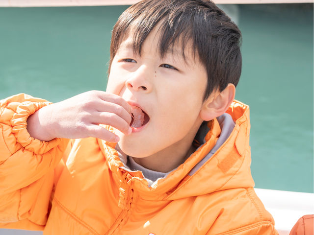 �A�`������l�ꂽ�[�C�����̎��H�I_�C��